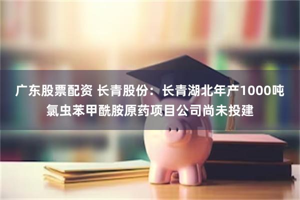 广东股票配资 长青股份：长青湖北年产1000吨氯虫苯甲酰胺原药项目公司尚未投建
