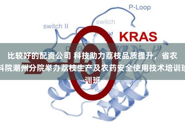 比较好的配资公司 科技助力荔枝品质提升，省农科院潮州分院举办荔枝生产及农药安全使用技术培训班
