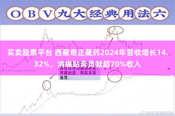 买卖股票平台 西藏奇正藏药2024年营收增长14.32%，消痛贴膏贡献超70%收入