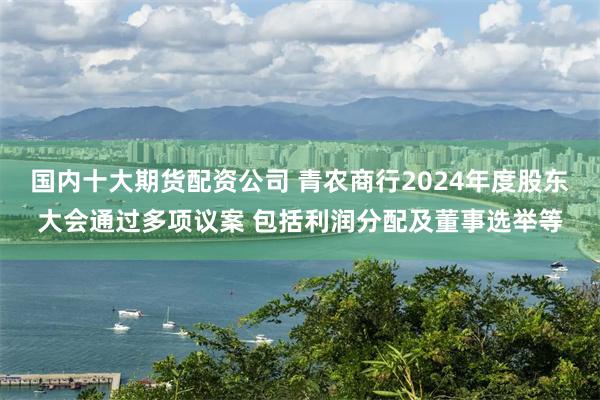 国内十大期货配资公司 青农商行2024年度股东大会通过多项议案 包括利润分配及董事选举等