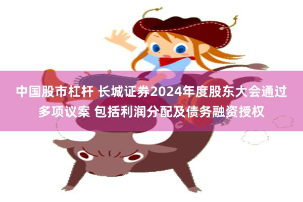 中国股市杠杆 长城证券2024年度股东大会通过多项议案 包括利润分配及债务融资授权