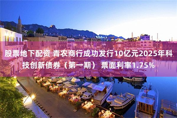 股票地下配资 青农商行成功发行10亿元2025年科技创新债券（第一期） 票面利率1.75%