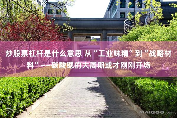 炒股票杠杆是什么意思 从“工业味精”到“战略材料”——碳酸锶的大周期或才刚刚开场