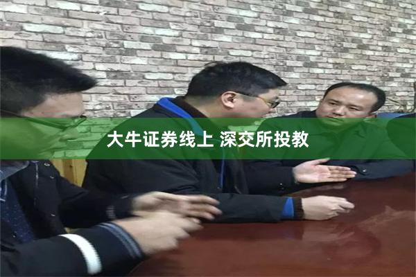 大牛证券线上 深交所投教