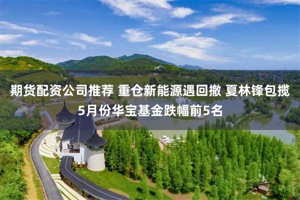 期货配资公司推荐 重仓新能源遇回撤 夏林锋包揽5月份华宝基金跌幅前5名