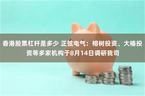 香港股票杠杆是多少 正弦电气：榕树投资、大椿投资等多家机构于8月14日调研我司