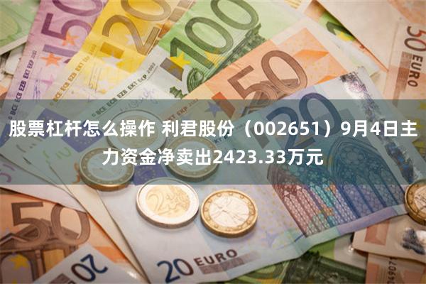 股票杠杆怎么操作 利君股份（002651）9月4日主力资金净卖出2423.33万元
