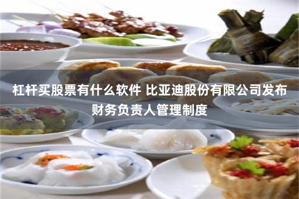 杠杆买股票有什么软件 比亚迪股份有限公司发布财务负责人管理制度