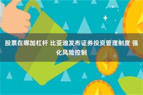 股票在哪加杠杆 比亚迪发布证券投资管理制度 强化风险控制