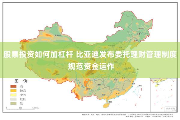 股票投资如何加杠杆 比亚迪发布委托理财管理制度 规范资金运作