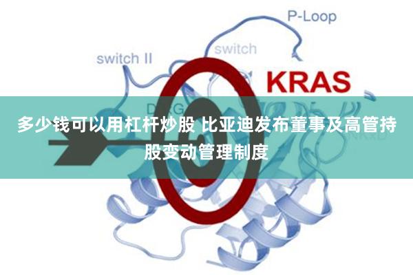多少钱可以用杠杆炒股 比亚迪发布董事及高管持股变动管理制度