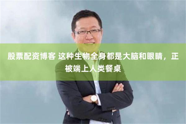股票配资博客 这种生物全身都是大脑和眼睛，正被端上人类餐桌