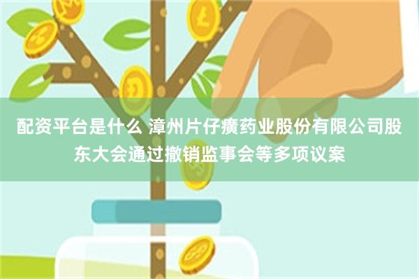 配资平台是什么 漳州片仔癀药业股份有限公司股东大会通过撤销监事会等多项议案