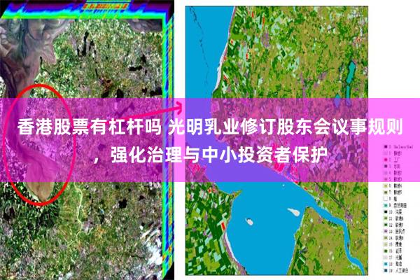 香港股票有杠杆吗 光明乳业修订股东会议事规则，强化治理与中小投资者保护