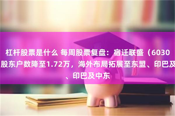 杠杆股票是什么 每周股票复盘:宿迁联盛(603065)股东户数降至1.72万,海外布局拓展至东盟、印巴及中东