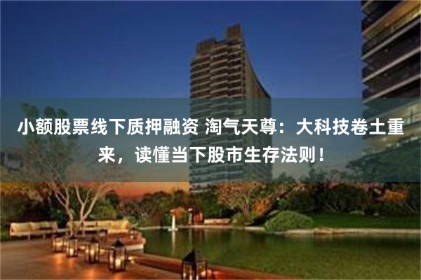 小额股票线下质押融资 淘气天尊：大科技卷土重来，读懂当下股市生存法则！