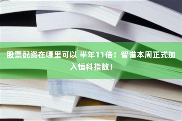 股票配资在哪里可以 半年11倍!智谱本周正式加入恒科指数!