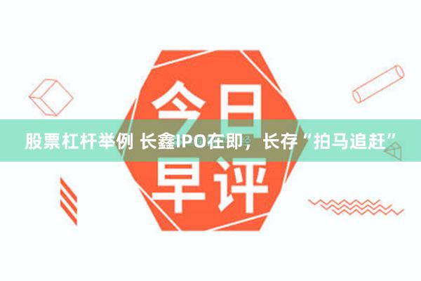 股票杠杆举例 长鑫IPO在即，长存“拍马追赶”