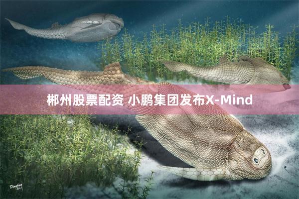 郴州股票配资 小鹏集团发布X-Mind