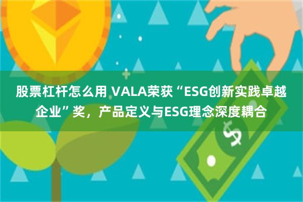 股票杠杆怎么用 VALA荣获“ESG创新实践卓越企业”奖,产品定义与ESG理念深度耦合