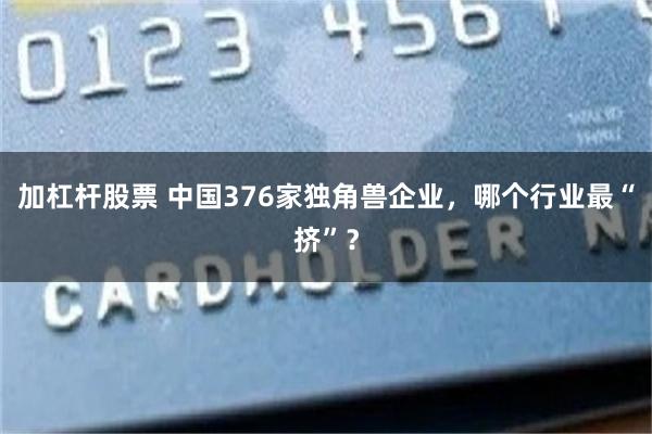加杠杆股票 中国376家独角兽企业,哪个行业最“挤”?