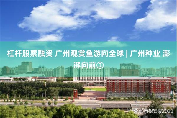 杠杆股票融资 广州观赏鱼游向全球 | 广州种业 澎湃向前③