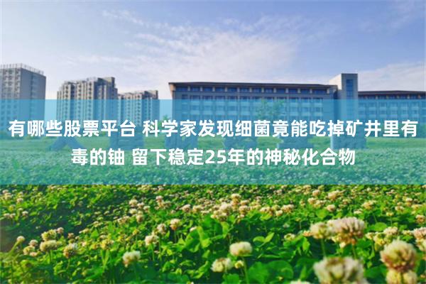 有哪些股票平台 科学家发现细菌竟能吃掉矿井里有毒的铀 留下稳定25年的神秘化合物