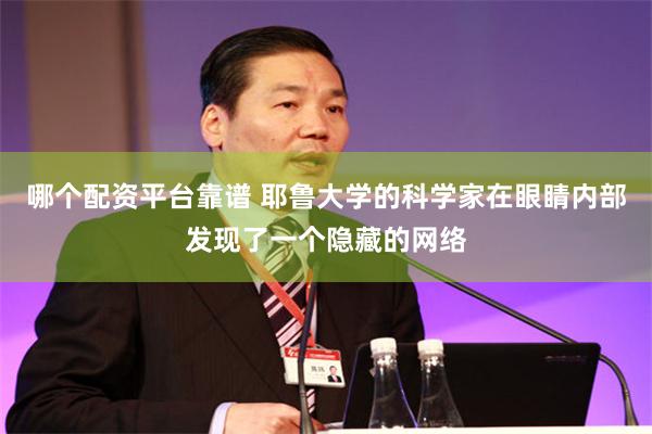 哪个配资平台靠谱 耶鲁大学的科学家在眼睛内部发现了一个隐藏的网络