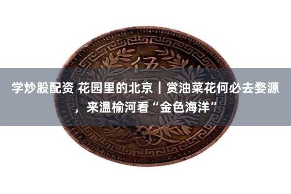 学炒股配资 花园里的北京｜赏油菜花何必去婺源，来温榆河看“金色海洋”
