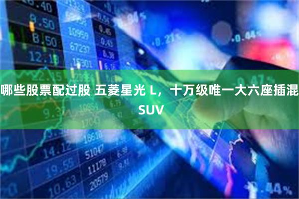 哪些股票配过股 五菱星光 L,十万级唯一大六座插混 SUV
