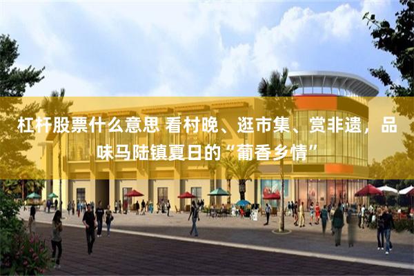 杠杆股票什么意思 看村晚、逛市集、赏非遗,品味马陆镇夏日的“葡香乡情”