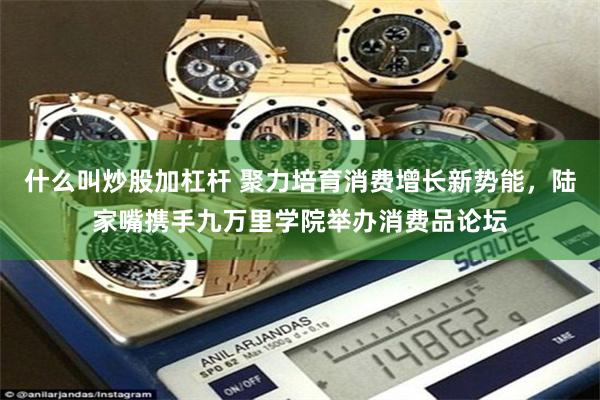 什么叫炒股加杠杆 聚力培育消费增长新势能，陆家嘴携手九万里学院举办消费品论坛