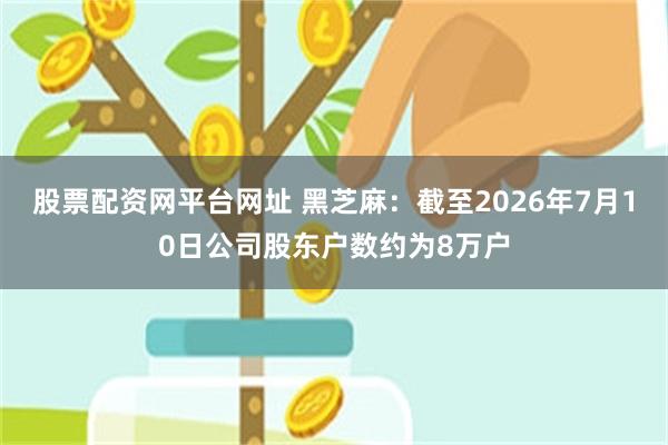股票配资网平台网址 黑芝麻：截至2026年7月10日公司股东户数约为8万户