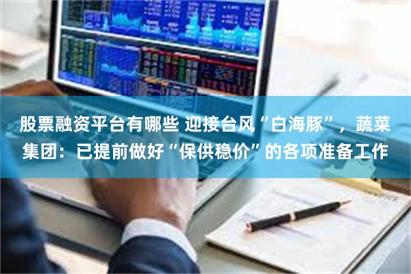 股票融资平台有哪些 迎接台风“白海豚”，蔬菜集团：已提前做好“保供稳价”的各项准备工作