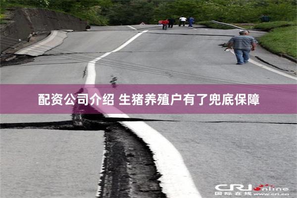 配资公司介绍 生猪养殖户有了兜底保障