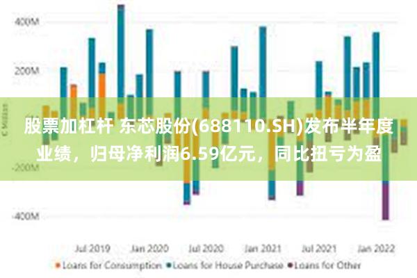股票加杠杆 东芯股份(688110.SH)发布半年度业绩，归母净利润6.59亿元，同比扭亏为盈