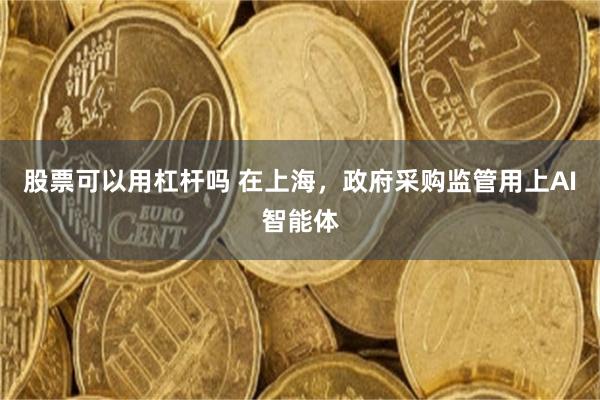 股票可以用杠杆吗 在上海，政府采购监管用上AI智能体