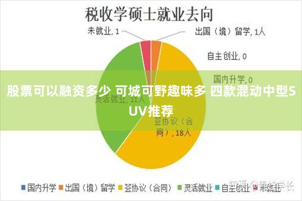 股票可以融资多少 可城可野趣味多 四款混动中型SUV推荐