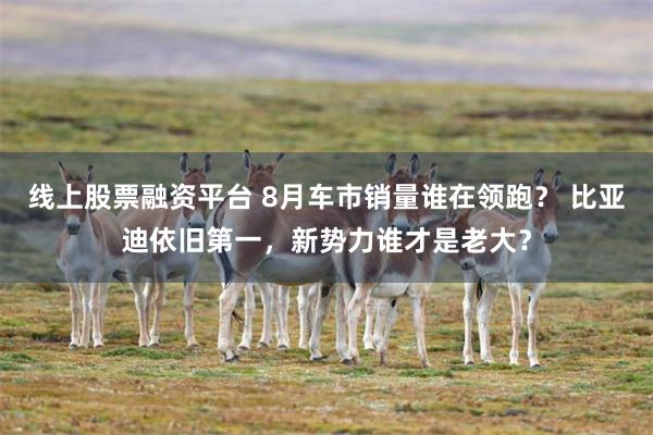 线上股票融资平台 8月车市销量谁在领跑？ 比亚迪依旧第一，新势力谁才是老大？