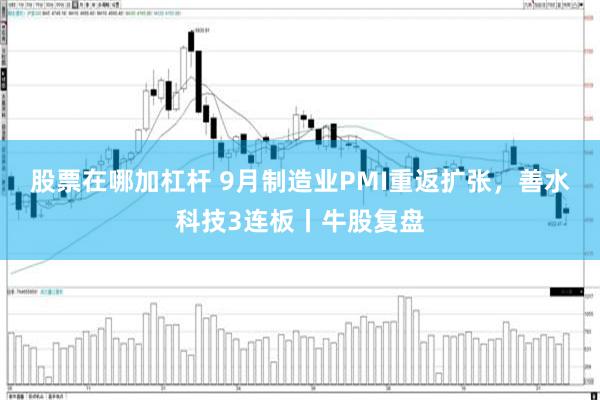 股票在哪加杠杆 9月制造业PMI重返扩张，善水科技3连板丨牛股复盘