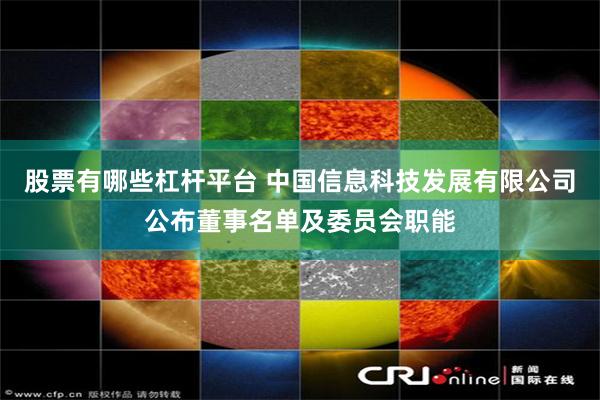 股票有哪些杠杆平台 中国信息科技发展有限公司公布董事名单及委员会职能